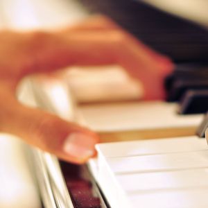 天天操天天日天天干
