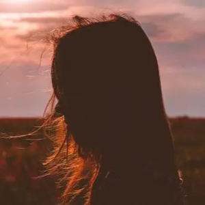 天天操天天日天天干
