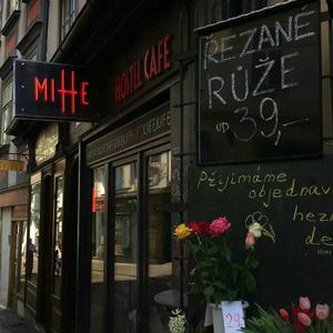 天天操天天日天天干
