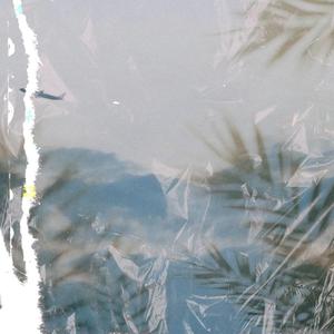 天天操天天日天天干
