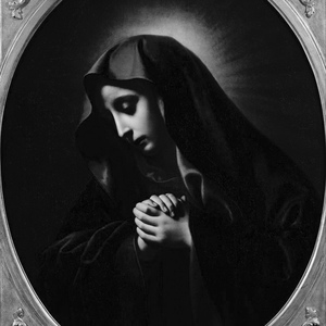 天天操天天日天天干
